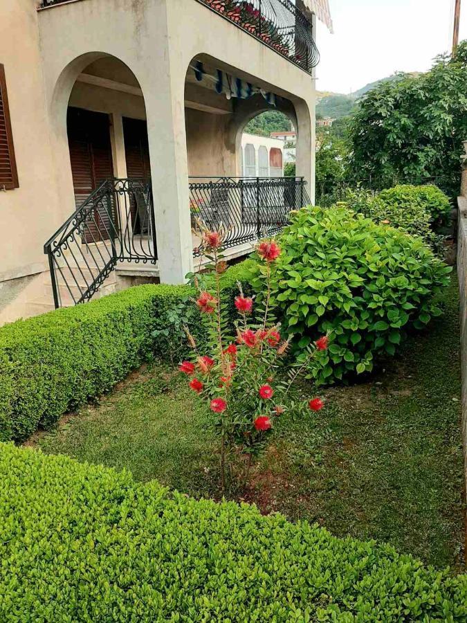 Andrej Apartments Κότορ Εξωτερικό φωτογραφία